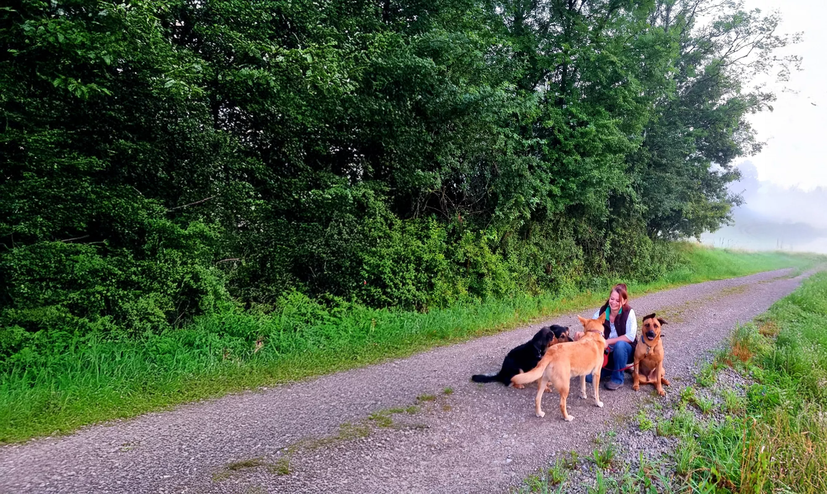 dinkelberg-katrin-faxe-ella-rico-bluto